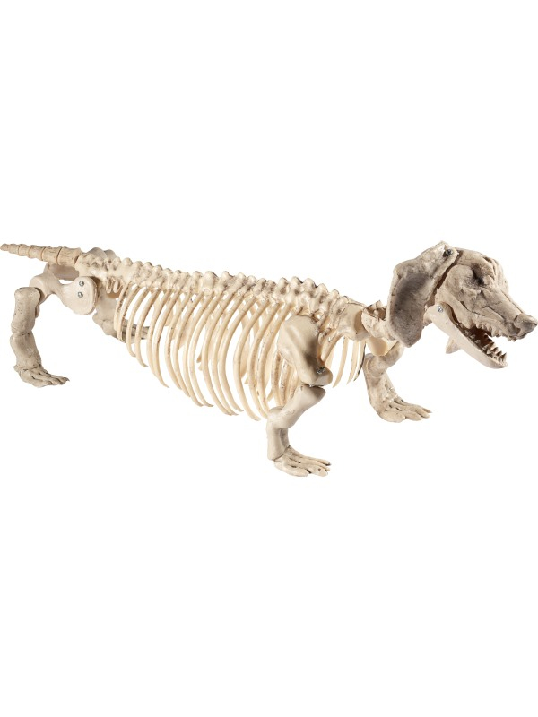 Hond Skeleton